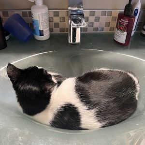 Meet your Posher, Lindsey